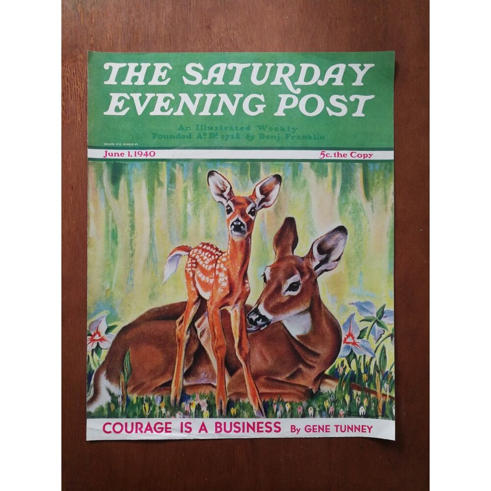 Vintage Saturday Evening Post June 8, 1940 Doe and Fawn Cover Only No Label